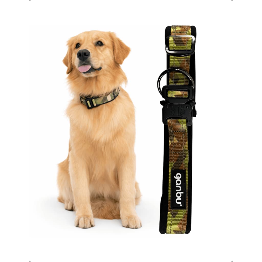 Coleira Tática para Cachorro Grande Ajustável Resistente Tamanho GG Rottweiler Labrador