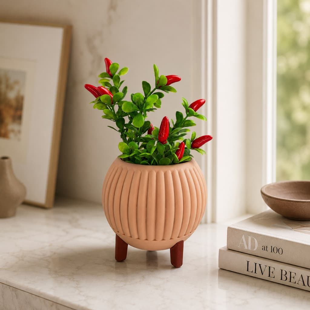 Cachepô Talassa | Cachepô Decorativo para Plantas e Decoração
