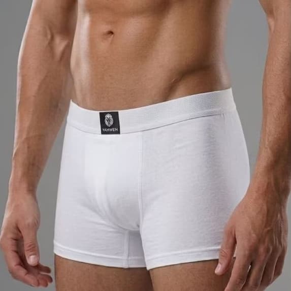 Kit 10 Cuecas Boxer Masculina Microfibra cueca boxer adulto