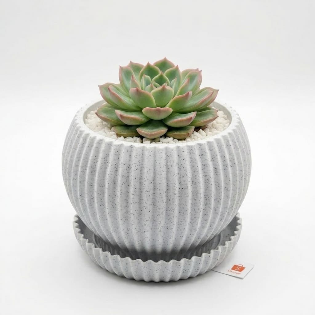 Vaso Impresso em 3D PLA Decorativo com Drenagem e com Prato para Suculentas e Cactos