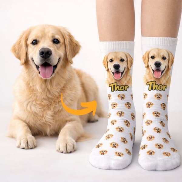 Meia Personalizada com Foto do Pet Cachorro e Gato Meias Personalizadas Presente Pet Lover