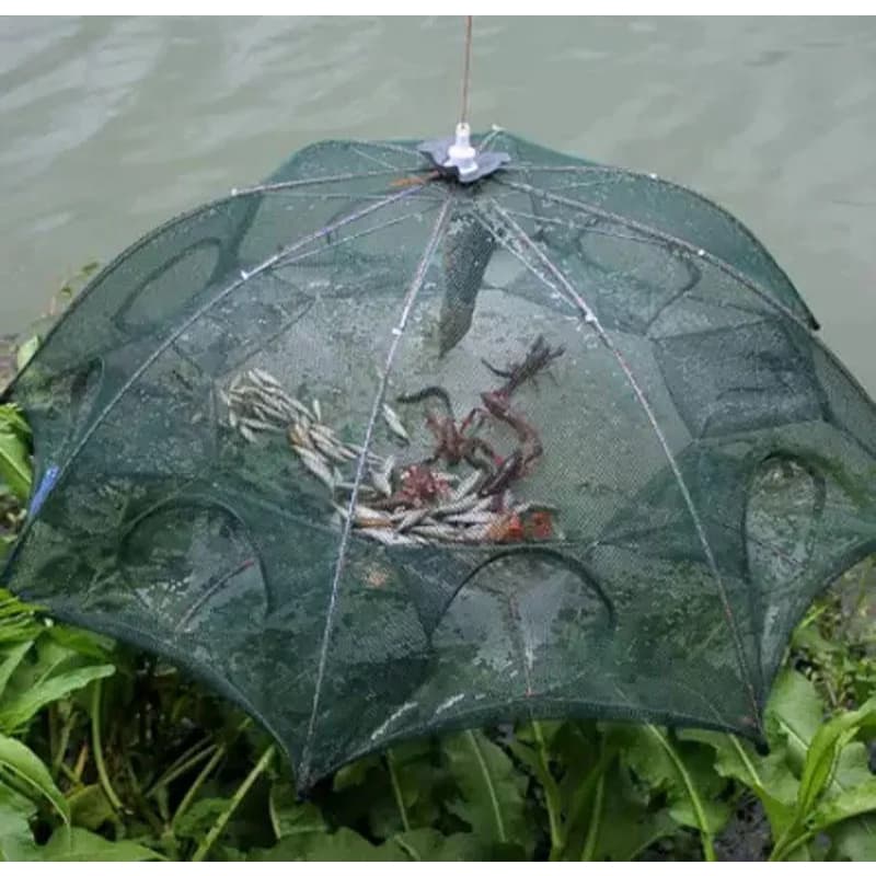 Covo Armadilha Com 8 Furos Peixes Siri Lambari Camarão Iscas Verde