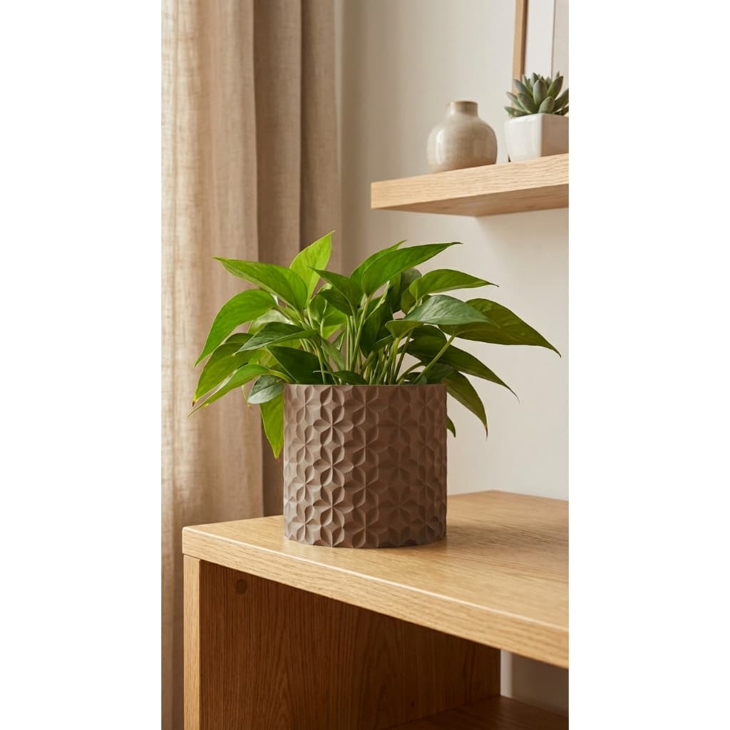 Vaso Decorativo Moderno para Plantas | Vaso para Suculentas, Cactos e Plantas Pequenas | Branco Preto Cappuccino