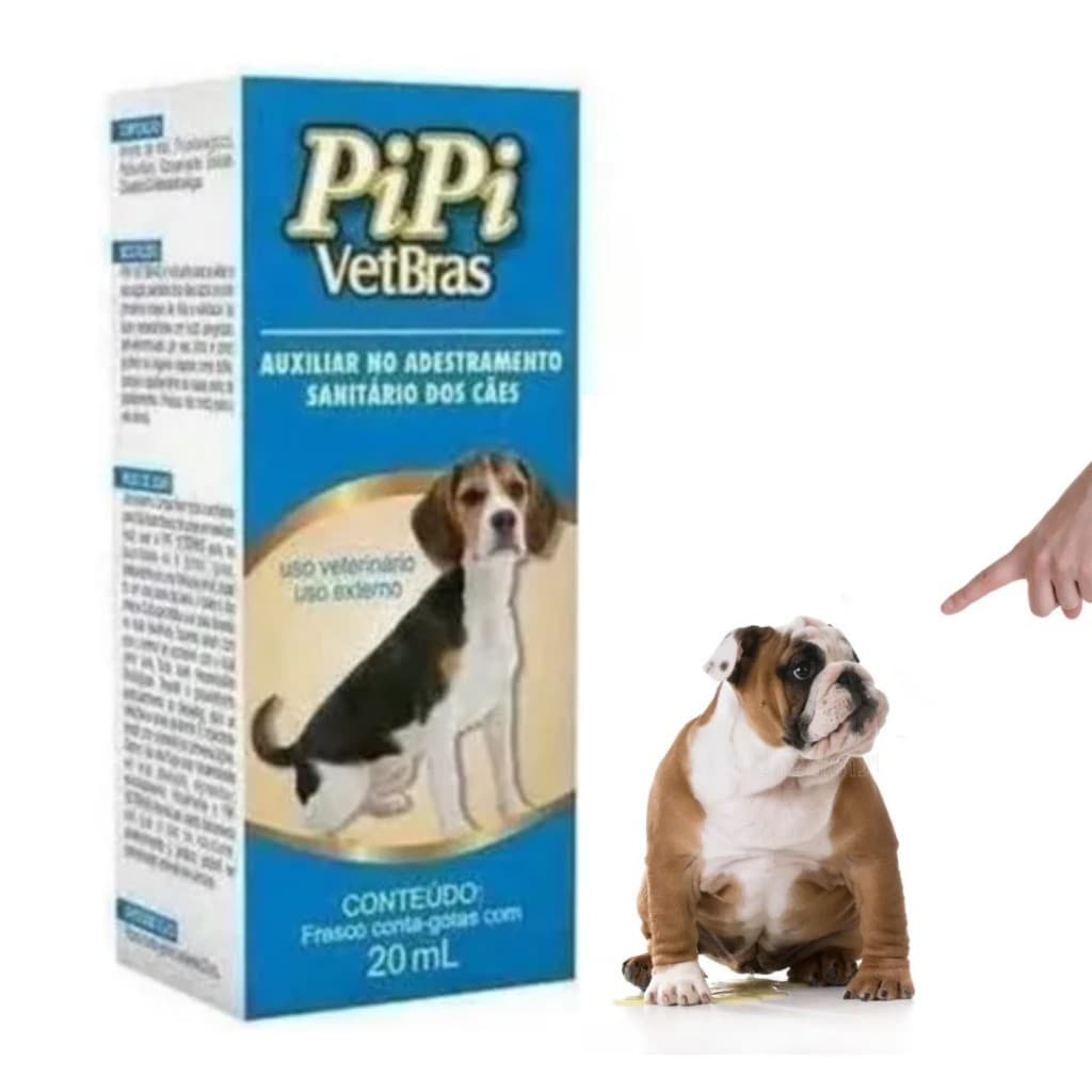 Cachorro Gato Fazer Xixi Coco No Lugar Certo Ensinar