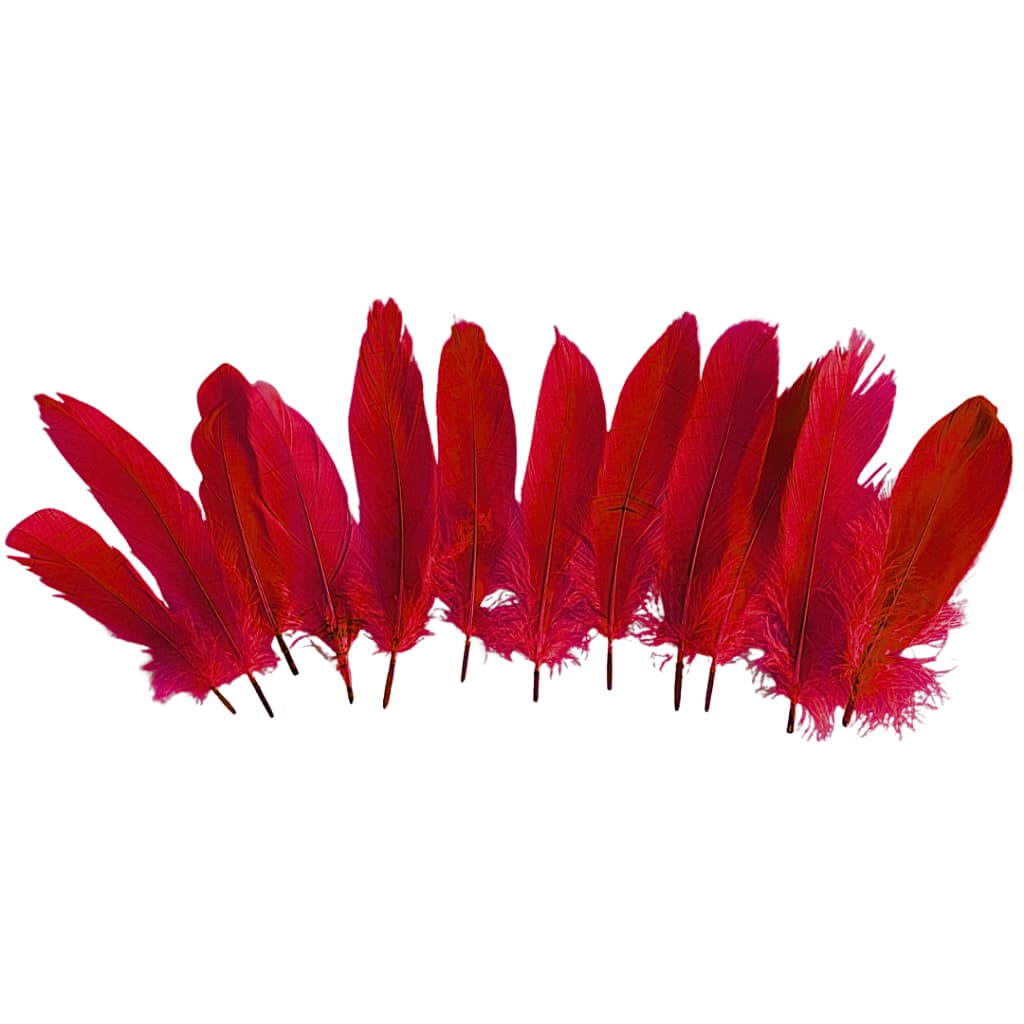12 Penas De Pato Plumas Diversas Cores Artesanato