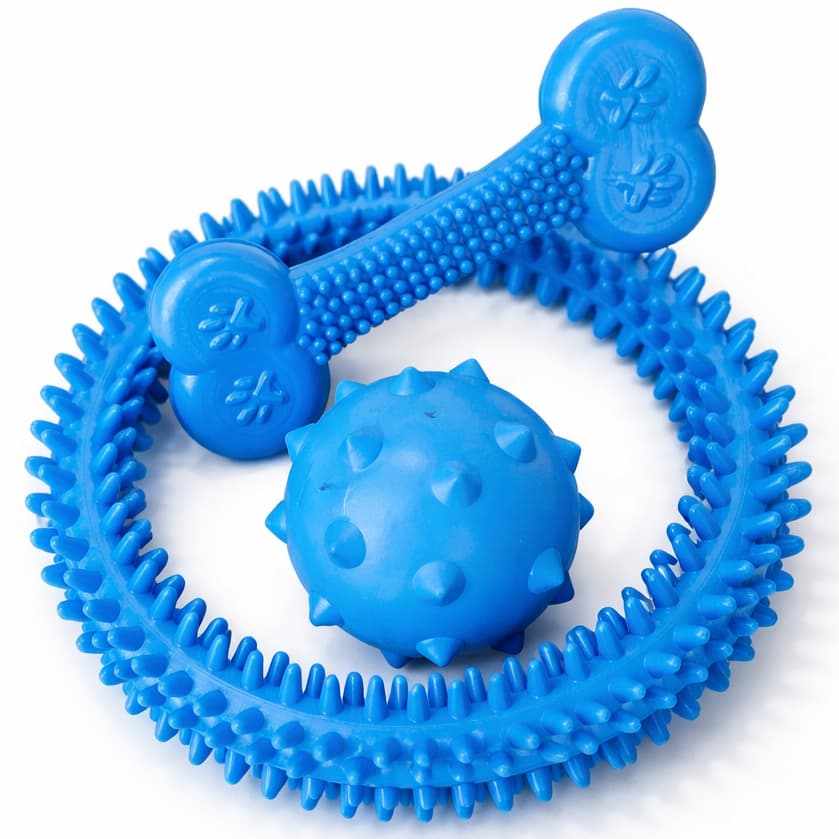 Kit Mordedor para Cachorro de Borracha Brinquedo Massageador Gengiva Raças Pequenas Pet Filhotes