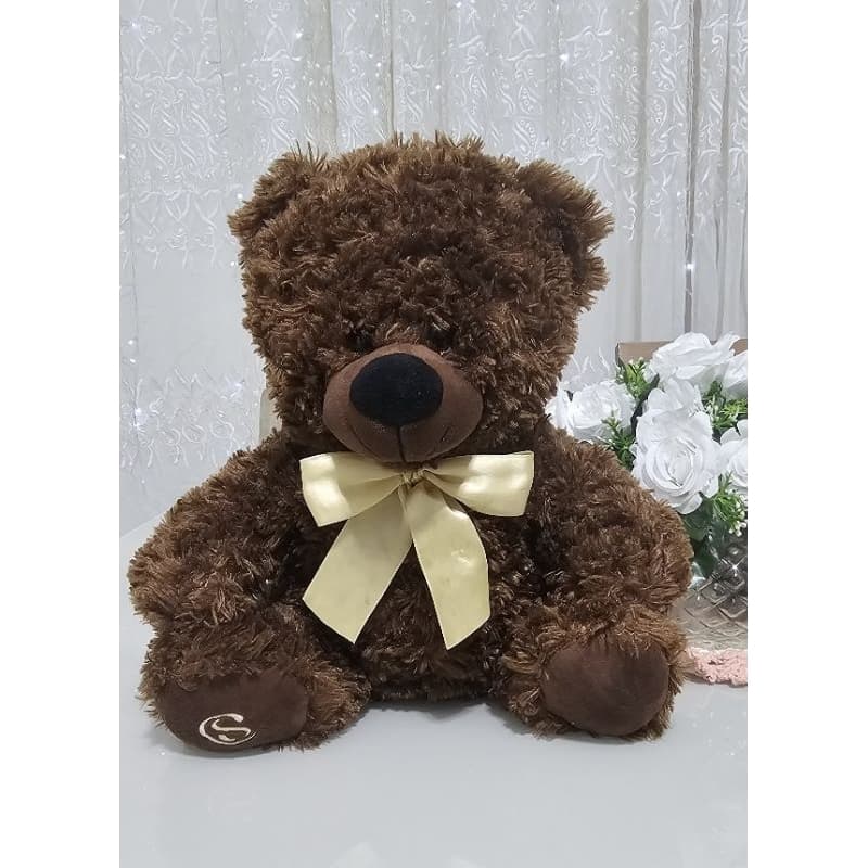 Urso Pelúcia Marrom Amigo Chocolate Páscoa
