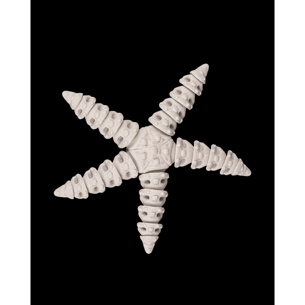 Esqueleto de Estrela do Mar Flexível Articulado Impressão 3d 12 cm