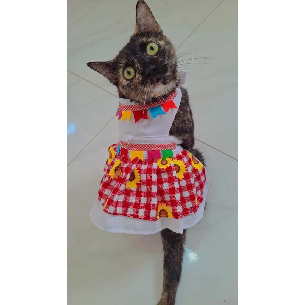 Vestido Pet de Festa Junina e Smoking Pet São João, Roupa Pet Noivinha e Noivinho Caipira
