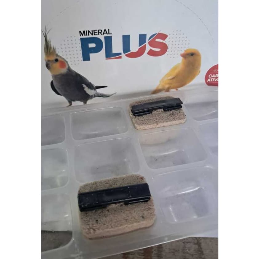 PEDRA MINERAL CÁLCIO!! KIT COM 2 UNI, 4 UNI, 6UNI.PASSARO NOBRE