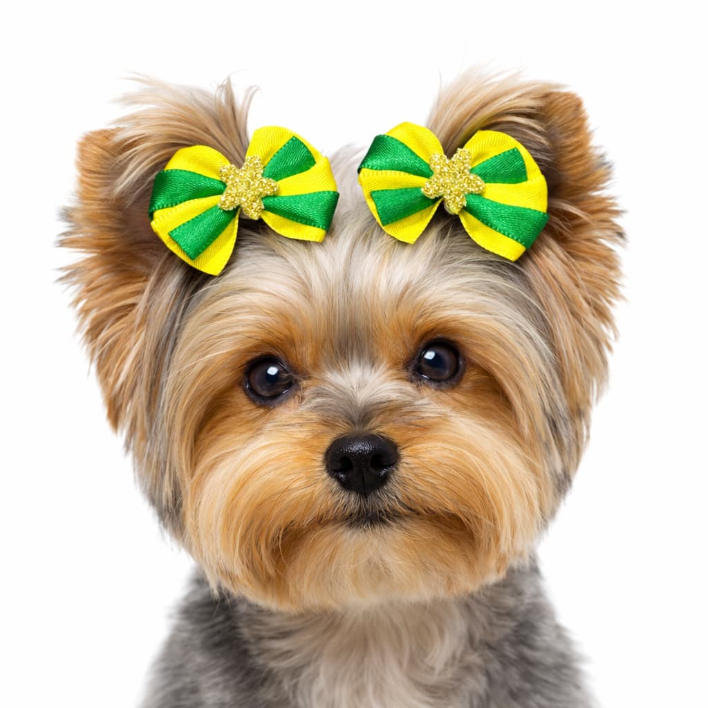 Lacinho Pet Brasil – Kit com 1, 2, 3 ou 6 Pares