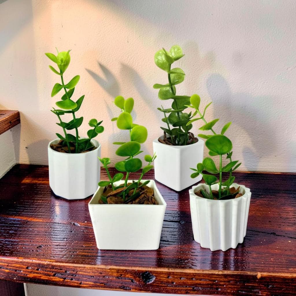 Conjunto de Vasos com Plantas Brancas Artificiais
