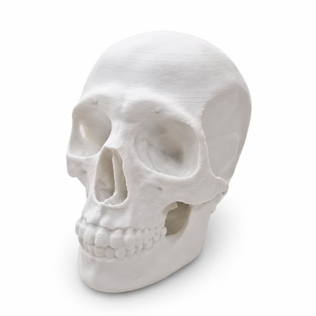 Caveira Decorativa Realista 3D Pequena Enfeite Minimalista Decoração Geek