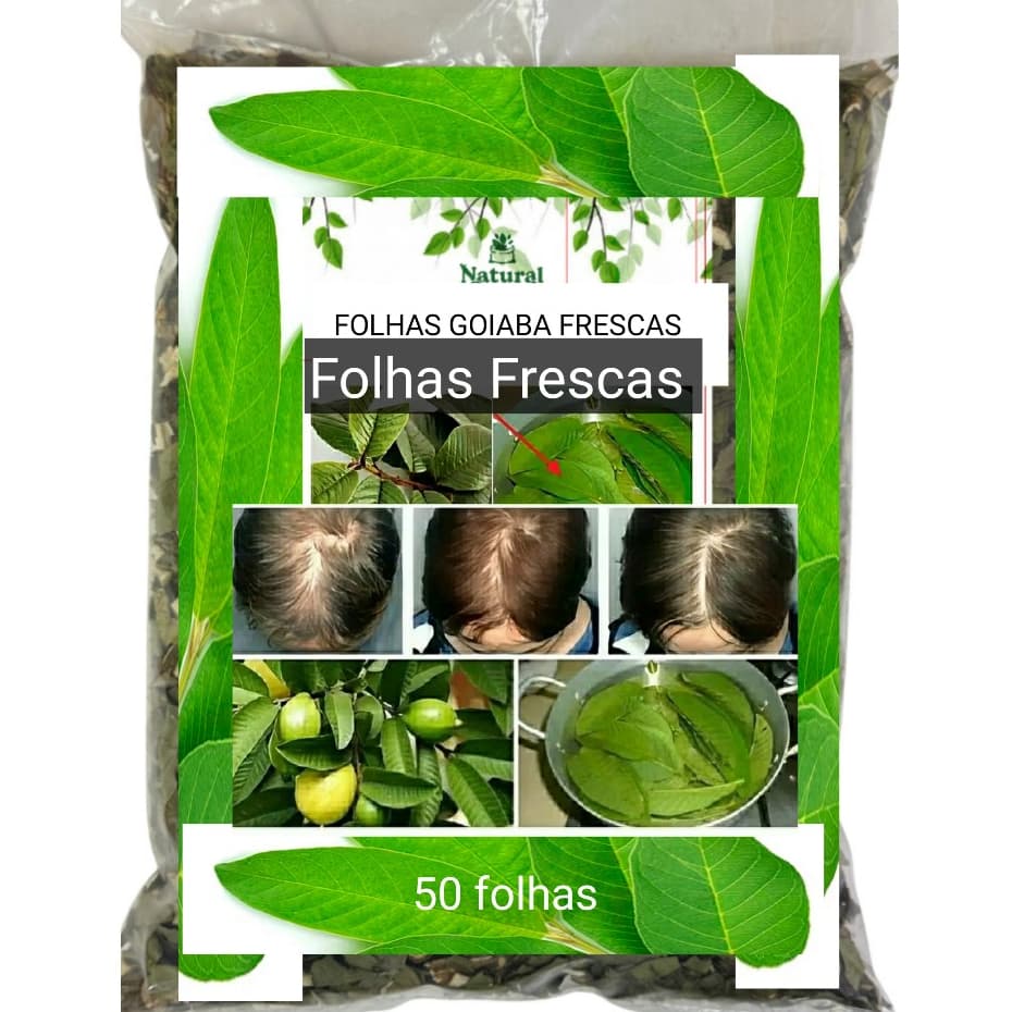 60 FOLHAS FRESCAS GOIABA  para chá tratamento capilar tônico banhos receita OFERTA