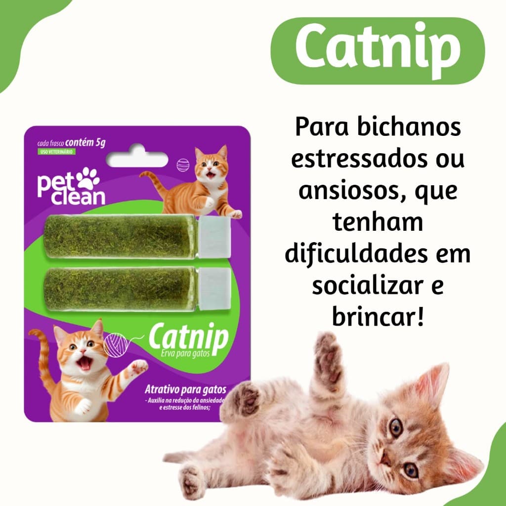 Catnip Premium 2g Erva Dos Gatos Natural Pura Orgânica Pet Clean