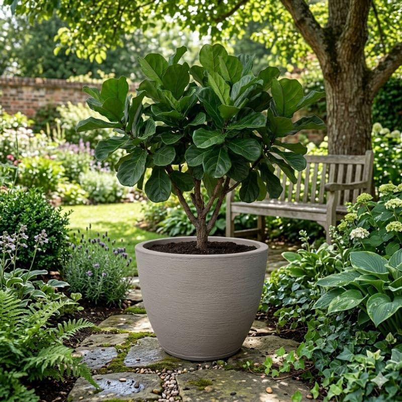 Vaso Redondo Bojo 4 Decorativo Polietileno Alta Qualidade Jardim Casa