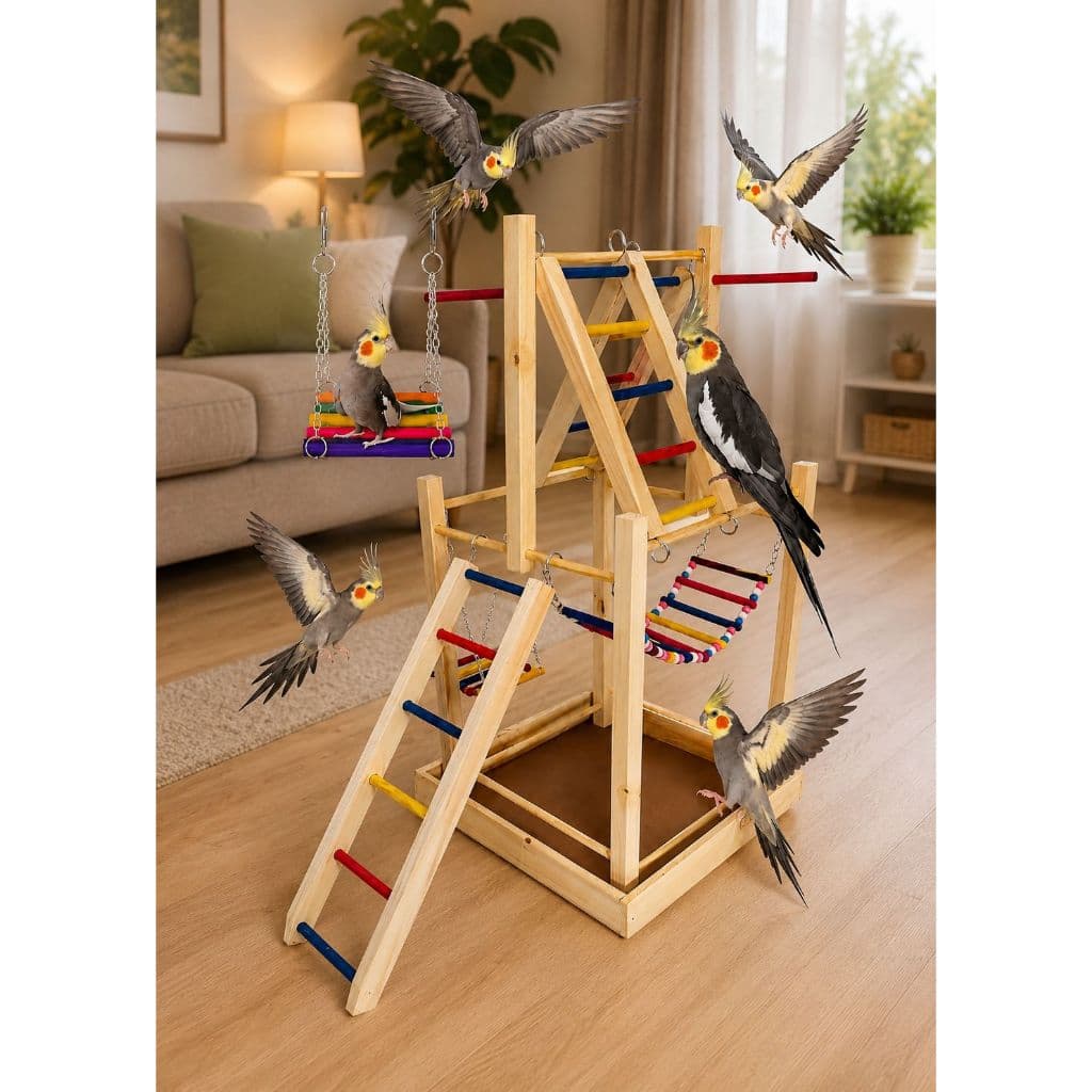 Playground 2 Andares - Para - Calopsita - Brincar - Casinha