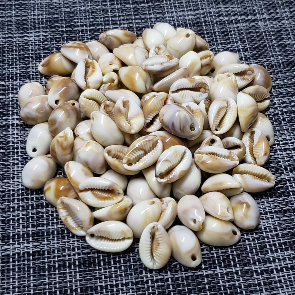 25/50/100 Un Concha buzios em plastico 1 furo para artesanato tamanhos entre 1,3 e 1,95cm