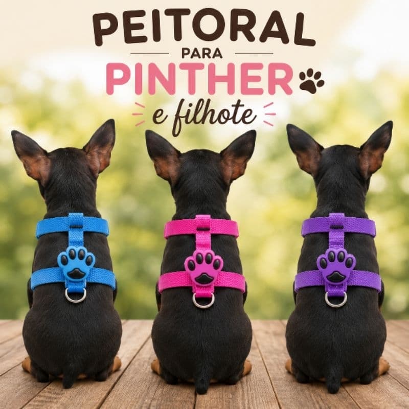 Peitoral para pinther e filhote com guia de passeio várias cores