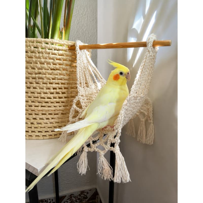 Redinha de descanso para Calopsitas, Agapornis e aves do mesmo porte 40cm x 14cm ✨🐤es