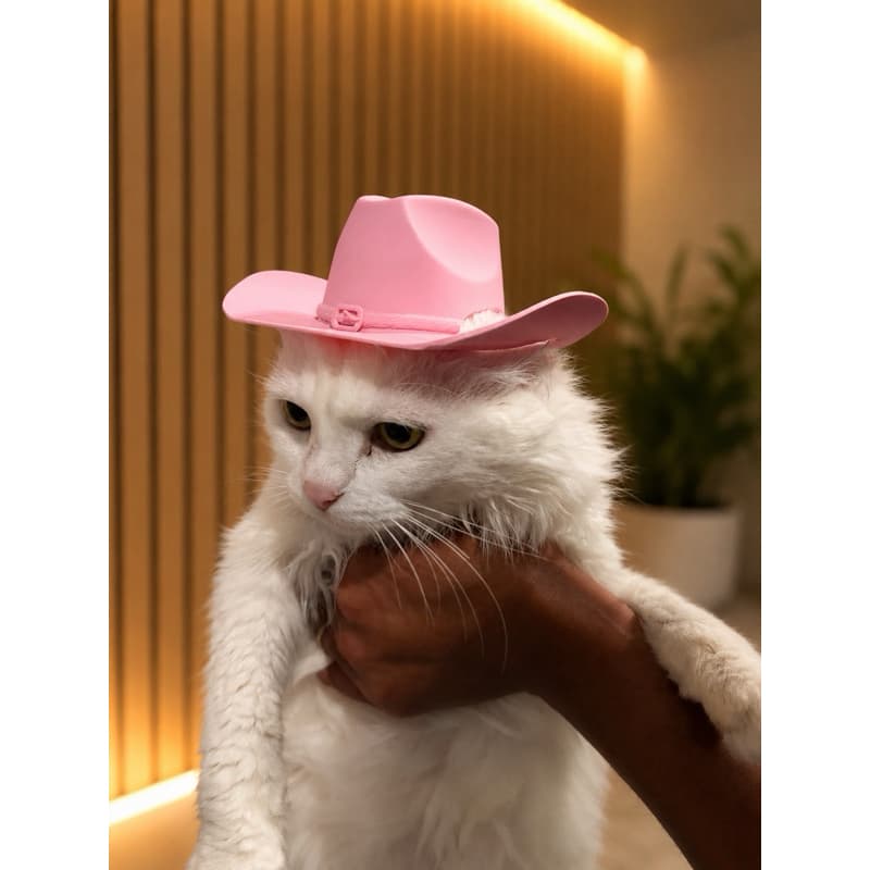 Chapéu de Cowboy para Gato Estilo Boiadeira Acessório para Animal Acessórios Diferentes e Engraçados Pet