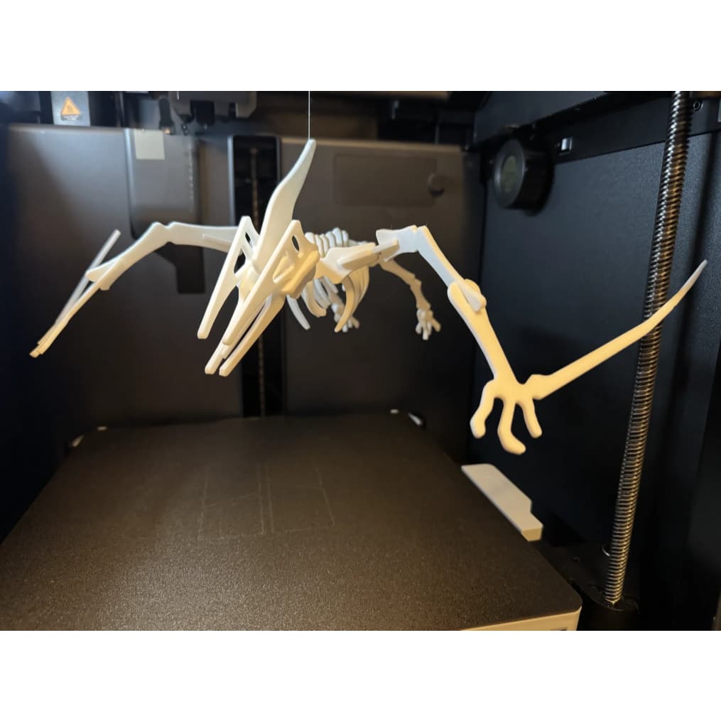 Kit Quebra-Cabeça 3D Esqueleto Dinossauro Pterodáctilo Brinquedo Educativo Montar Cor Marmorizada