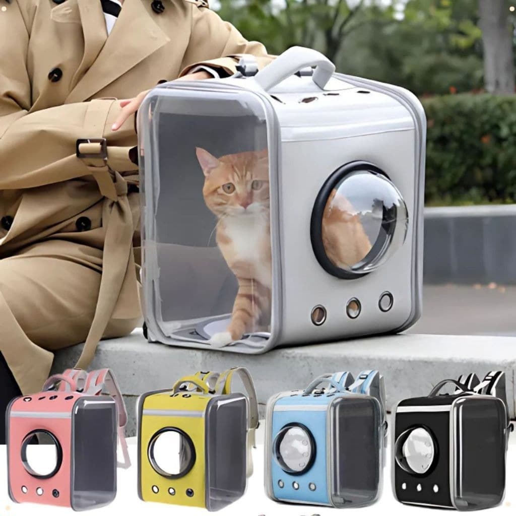 Mochila Astronauta Transparente Visão Passeio Respirável Para Gato Cachorro Pet