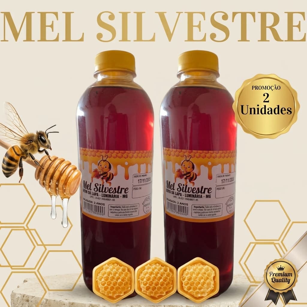 Promoção Relâmpago Kit 2 Unidades Mel Garrafa Abelha Silvestre 1,3kg Envio Imediato