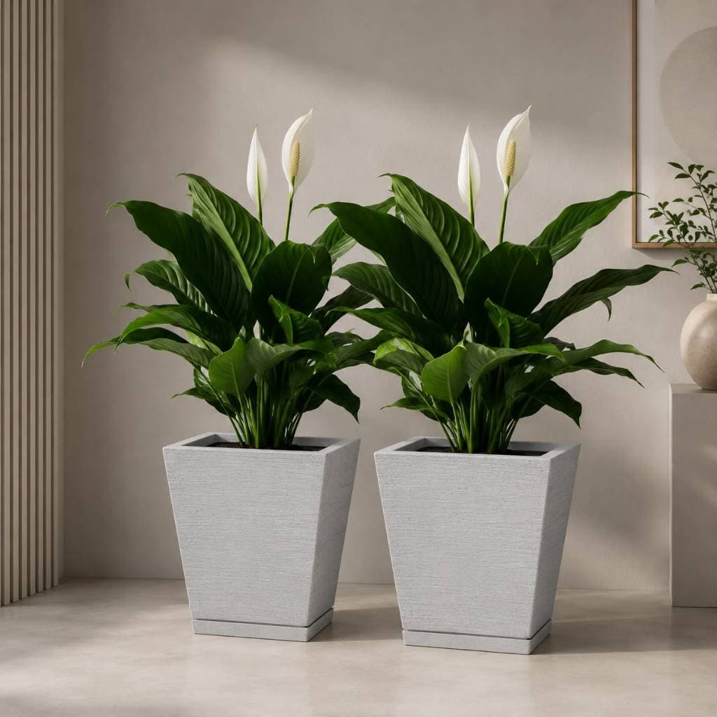 Kit 2 Vasos para Plantas Pequeno Polietileno Coluna Quadrado Escovado Prato Jardim Casa Decoração