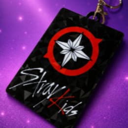 Holder stray kids personalizado - porta photocard - fanmade - k-pop - coreia