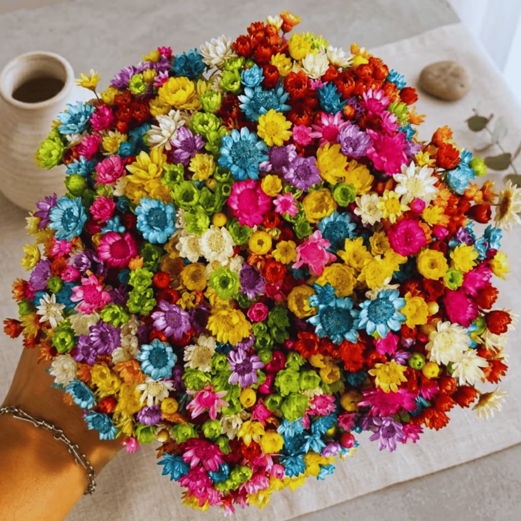Flor Sempre Viva Colorida Desidratada Buquê Aprox 200 Flores Decoração Festa Arranjos Mesa Posta
