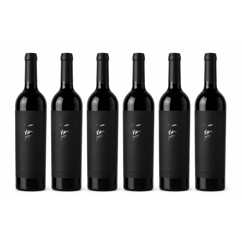 VINHO TINTO ALMA NEGRA 750 ML CX C/ 06 UNIDADES