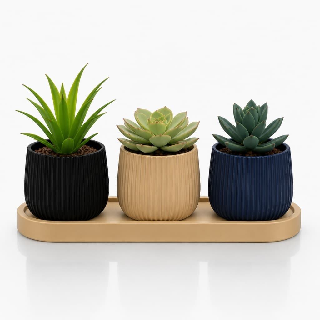 Kit 3 Vasos Suculenta Cactus Prato Bandeja Decorativo Plantas Naturais Artificiais Pequeno Minimalista Mesa Escritório
