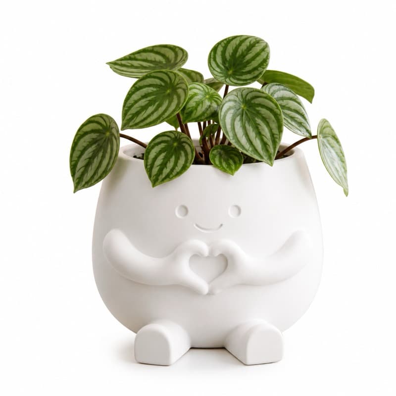 Cachepot 3D Decorativo Mãos com Coração – Charme e Delicadeza para sua Decoração