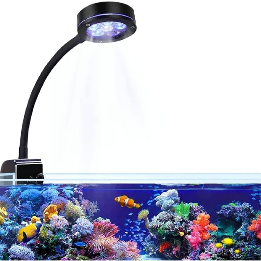 Luz LED para Aquário Marinho 30W Recife de Coral Nano Tank Iluminação LPS SPS