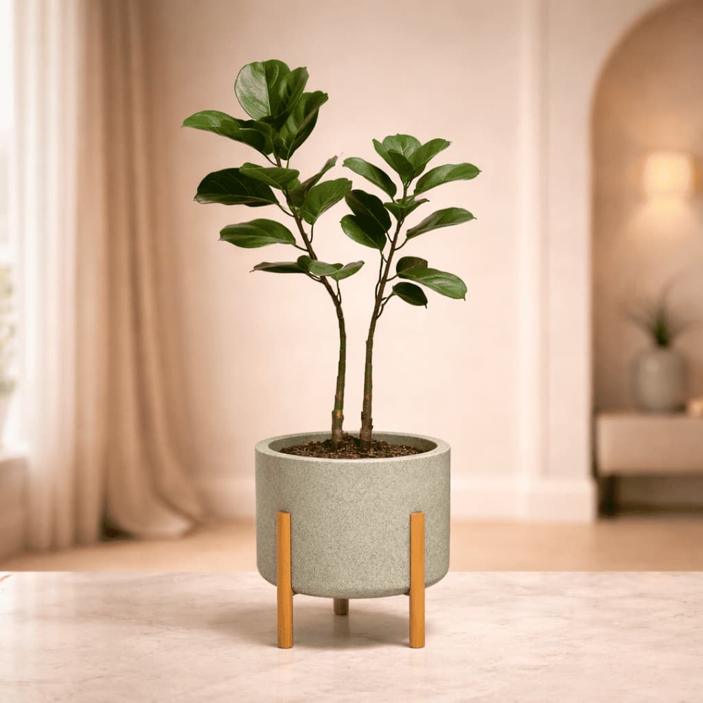 DV Arranjo Ficus1,20m em Vaso Cilíndrico Escandinavo e Planta Artificial decoração Luxo