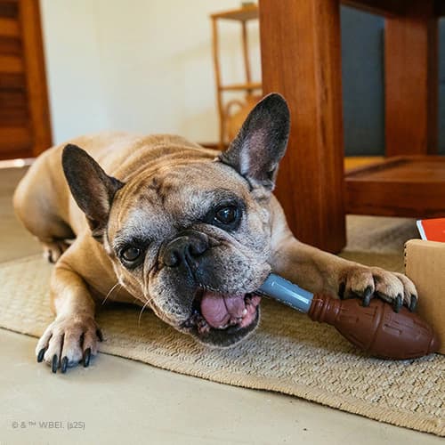 Mordedor de Nylon Nimbus 2001 | Coleção Harry Potter - para Cachorros - Petiko