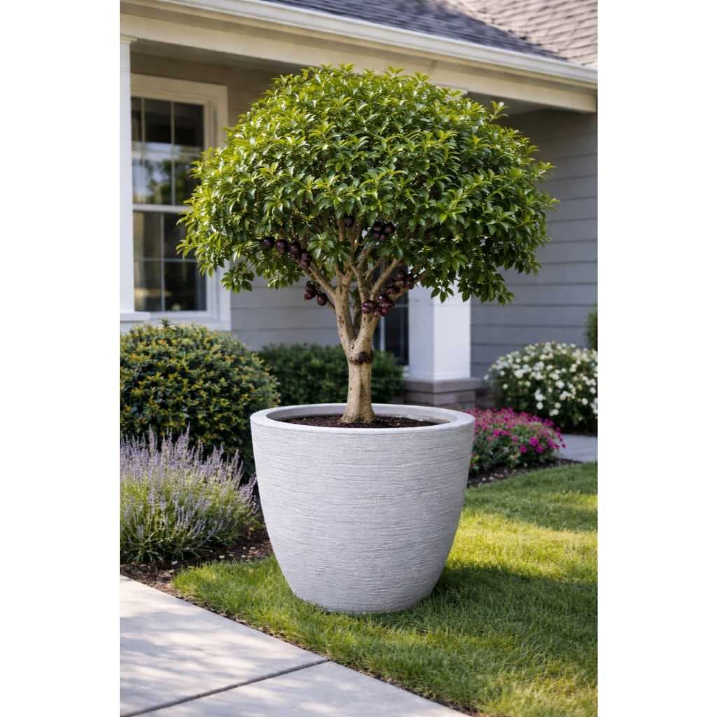 Vaso Grande  de Planta Redondo Bojo Grafiato 4 - 48cm de altura // Ideal para Árvores Frutíferas