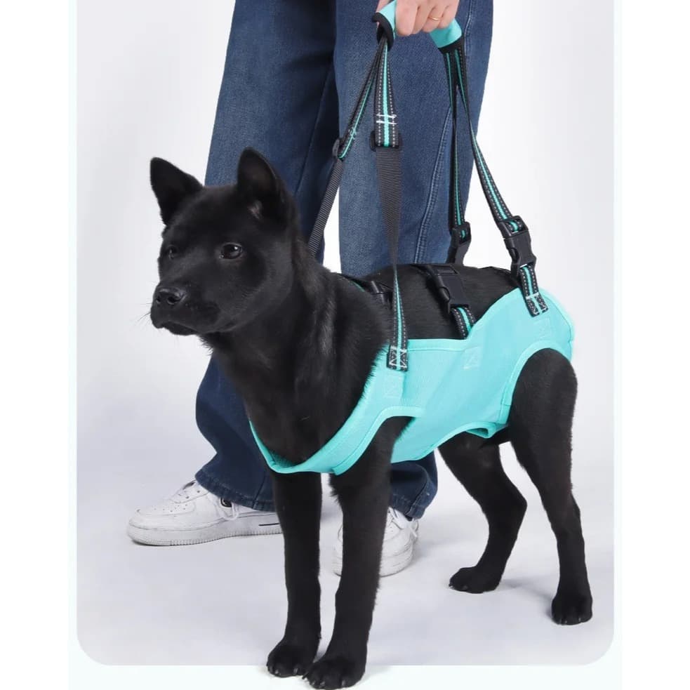 Suporte Auxiliar De Mobilidade Cachorro Cães Deficientes Para Andar Displasia Idoso