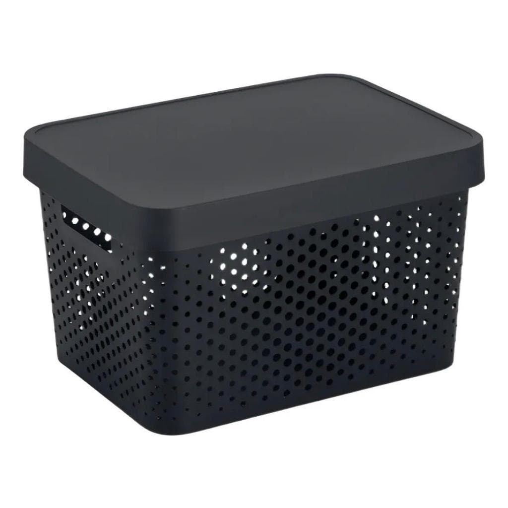 Kit Caixa Organizadora 17L com Tampa Rainha