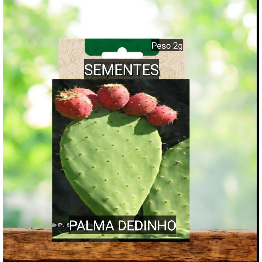 mudinha Palma dedinho exótica flor vaso jardim plantar OFERTA
