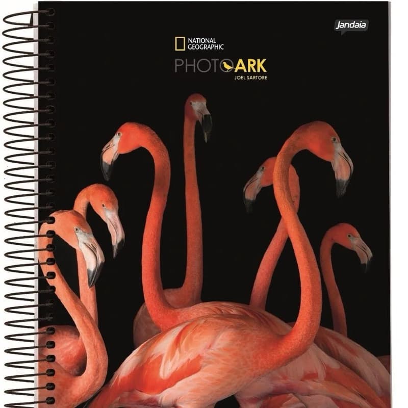 CADERNO 1 MATÉRIA ESCOLAR/UNIVERSITÁRIO CAPA DURA COM FIGURINHAS