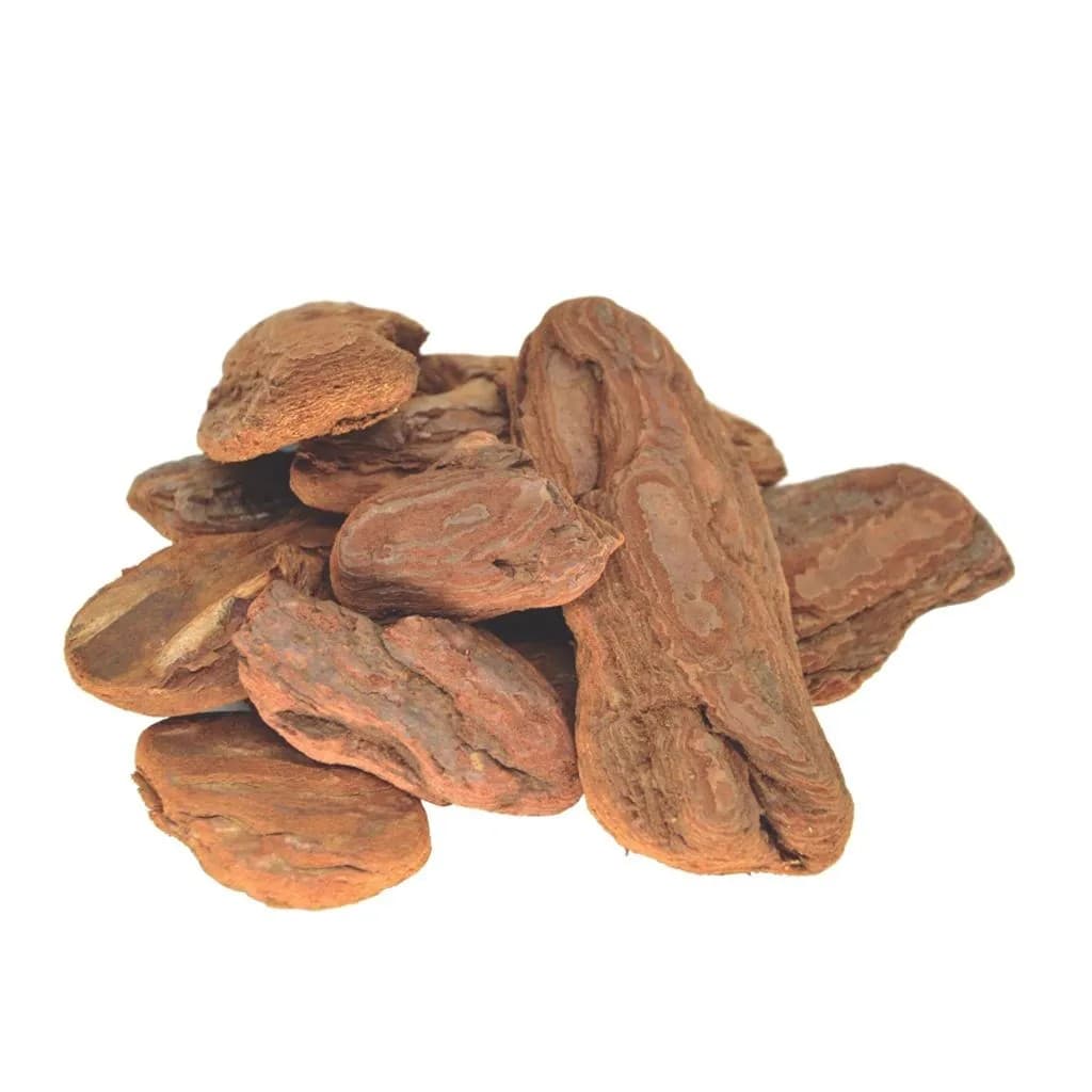 Cascas De Pinus Polida Tamanho Médio 1kg