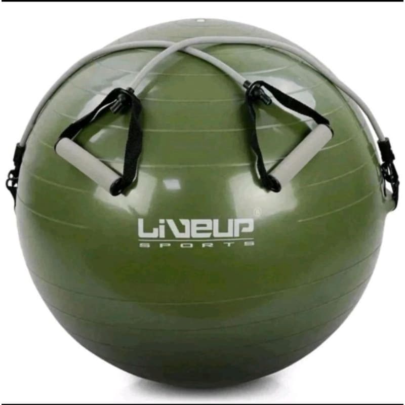 Bola Suiça 65cm com Extensores Liveup - Pilates, Yoga, Funcional, Até 200kg