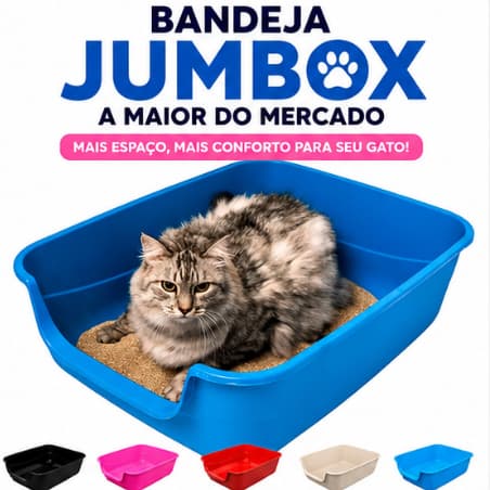 Caixa De Areia Para Gato Jumbo Bandeja Higiênica Grande 62x50x20cm Borda Alta Anti Areia