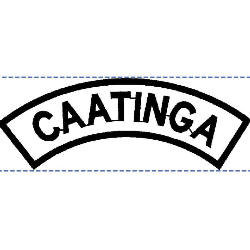 TARJETA BORDADA CAATINGA BAIXA VISIBILIDADE PADRÃO RUE DO EB