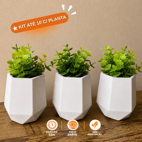 Kit Mini Vasinho Geométrico até 10 Com Planta e Sem Vaso Geométrico
