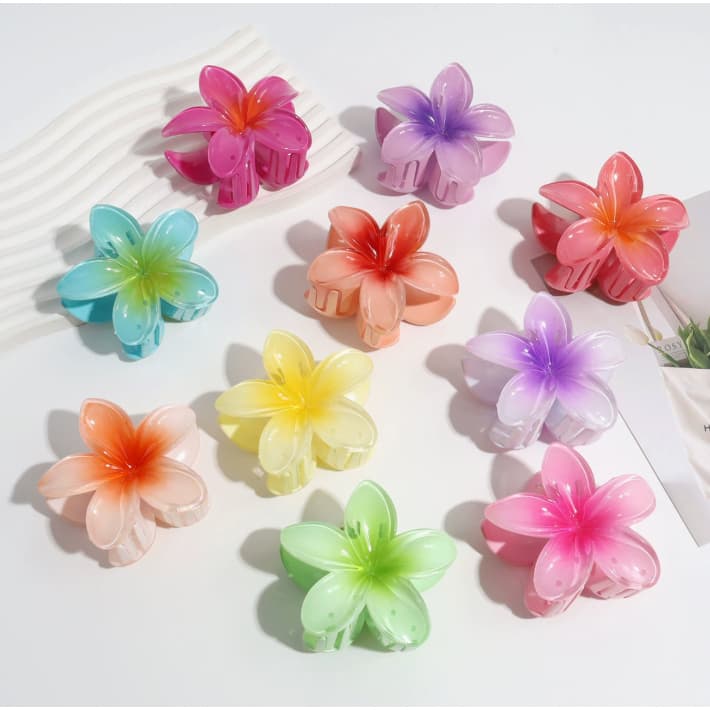 KIT 3/6/12 PCS Grampo De Cabelo Flor（4cm） De Feriado De Praia Barrettes Acessórios piranha e presilha flor