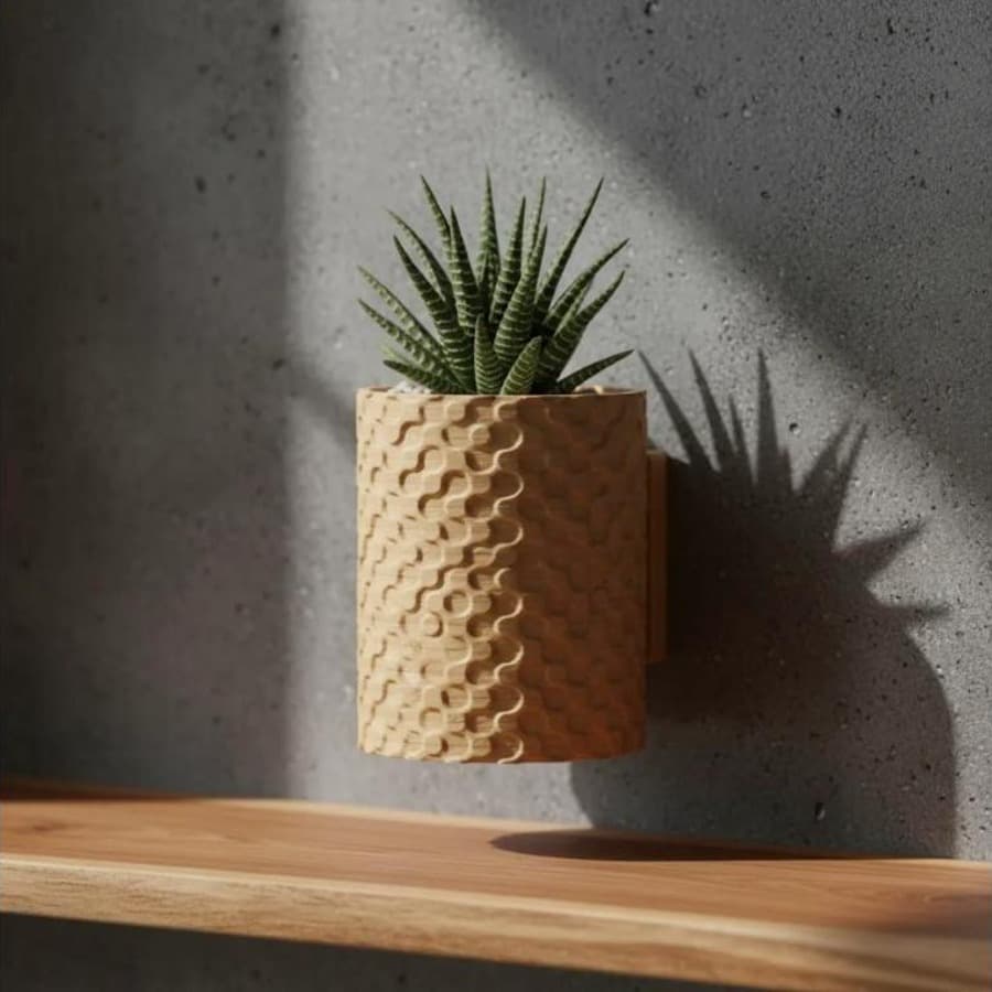 Vaso de Parede Decoracao Planta Suculenta com Bandeja Drenagem