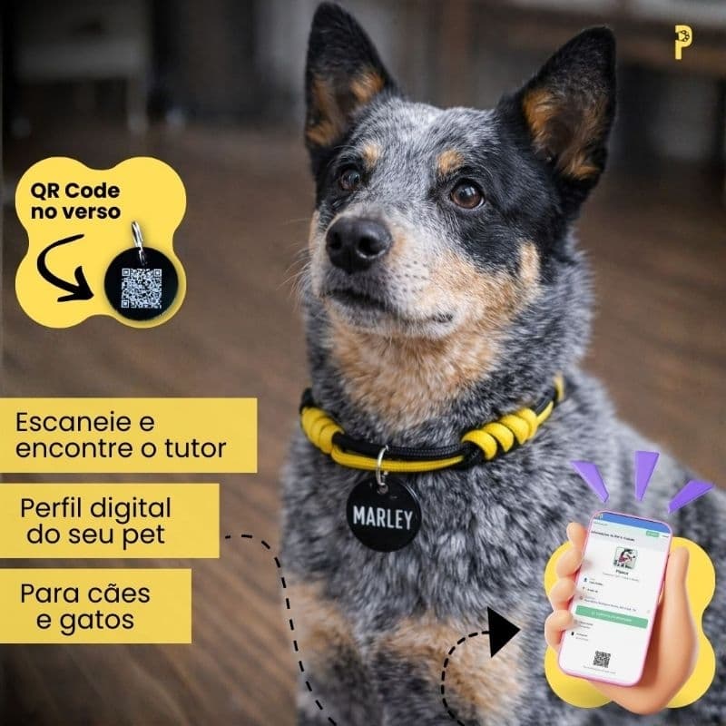 Coleira trançada personalizada para pet com plaquinha de identificação QR Code para cachorro e gato